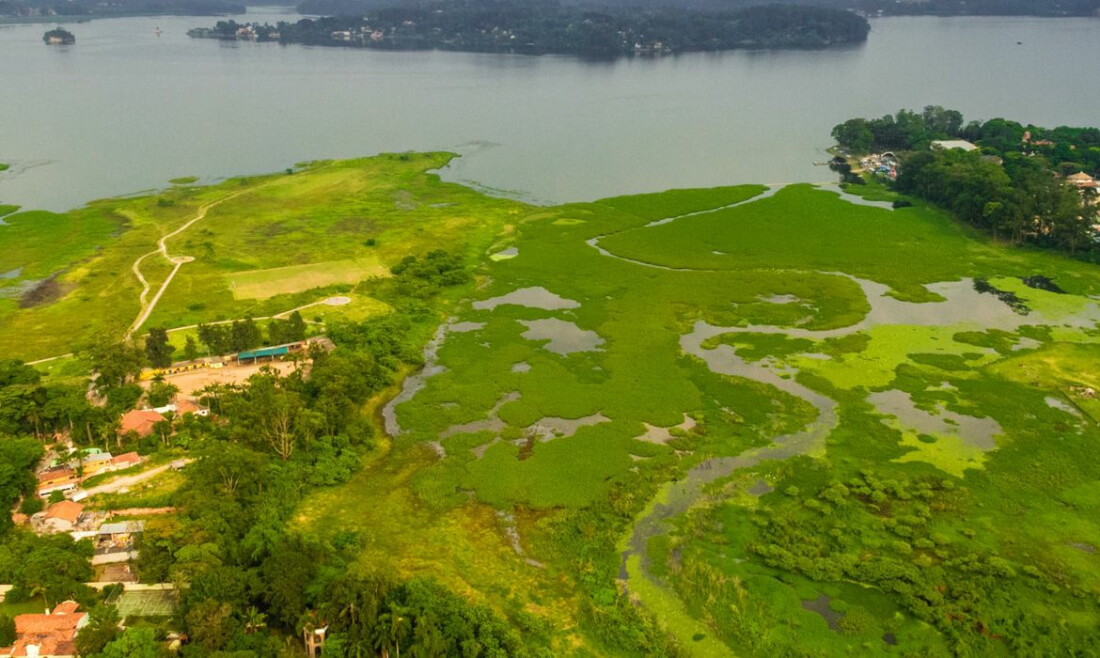 Estudo lista aves em parque de Guarapiranga e pede mais preservação