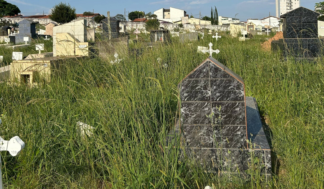 Munícipe reclama de falta de zeladoria em cemitério de Mogi 