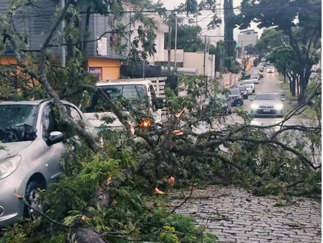 Chuvas fortes causam alagamentos e quedas de árvores em Mogi