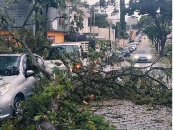 Mogi das Cruzes é a cidade mais afetada pelas fortes chuvas na região 