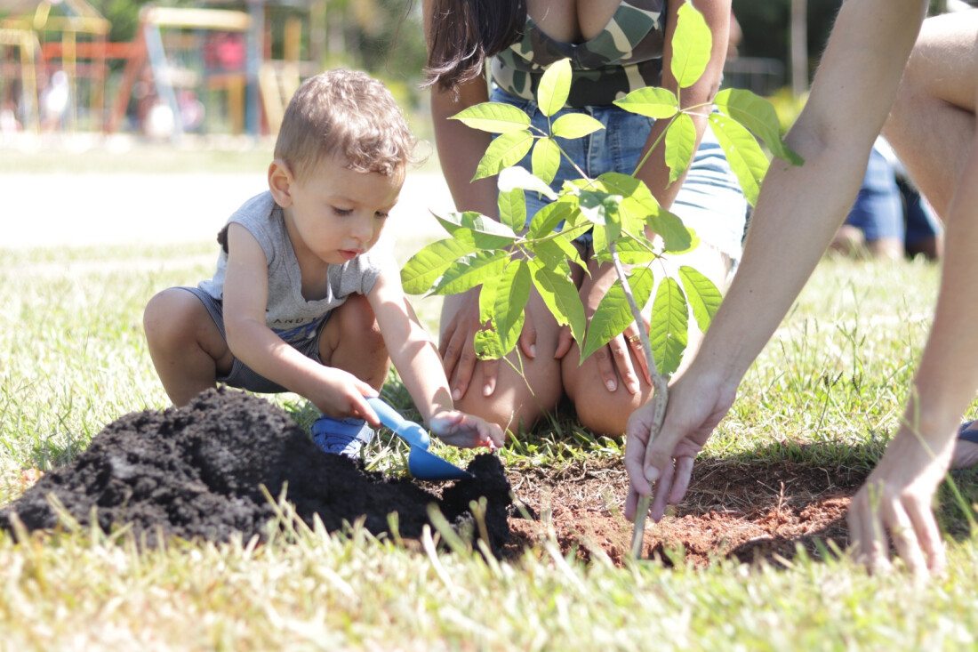 Suzano ultrapassa marca de 5 mil árvores plantadas em um ano
