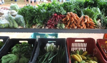 Encontro em Paris busca compromissos políticos por alimentação global