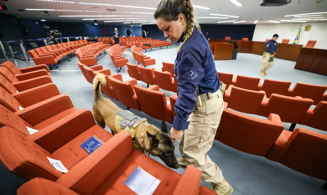 Advogado provoca tumulto e é detido no julgamento do STF