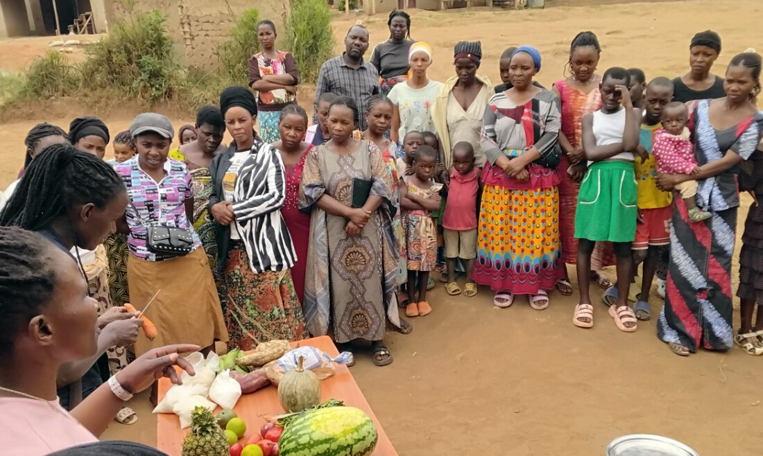 Projeto estimula criação de insetos como fonte de proteína na Uganda