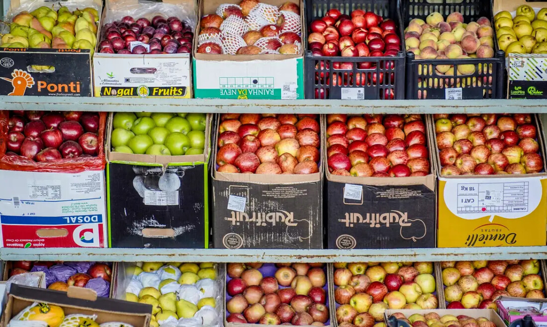 Em Paris, autoridades pedem investimentos globais no combate à fome
