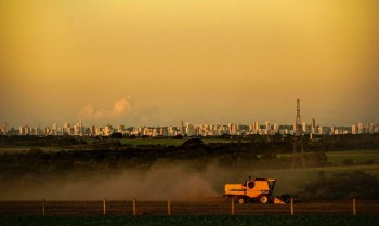 Monoculturas contribuem com crise climática, mas sofrem consequências