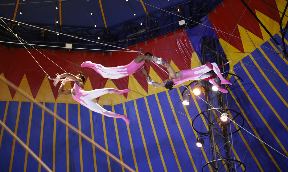 Edital de apoio a circos distribuirá até R$ 400 mil em São Paulo