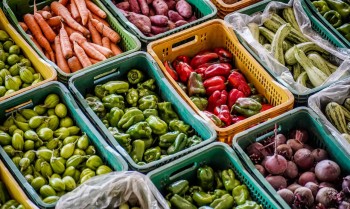Cúpula se encerra na França com US$ 27,55 bilhões para nutrição