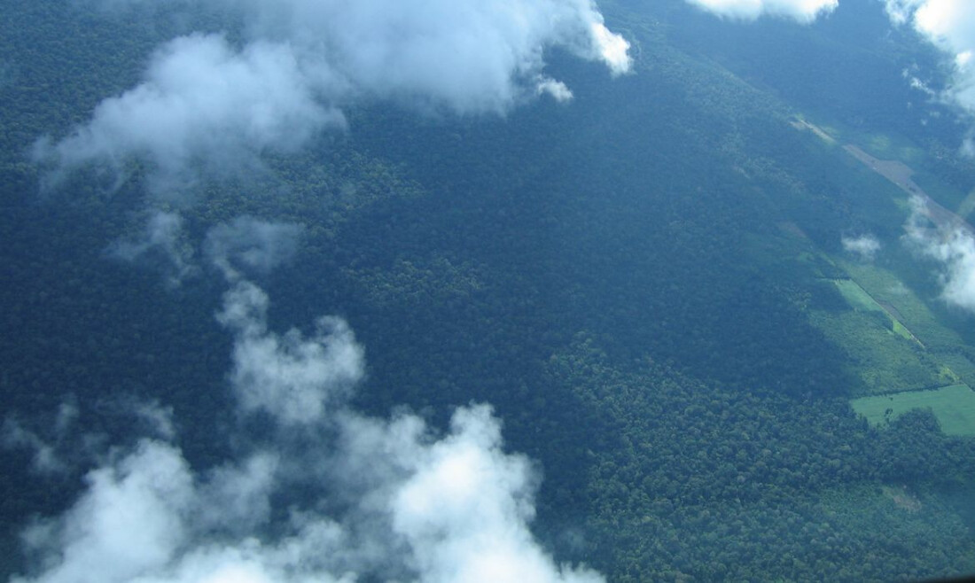 Petrobras comprará R$ 450 milhões em créditos de carbono na Amazônia