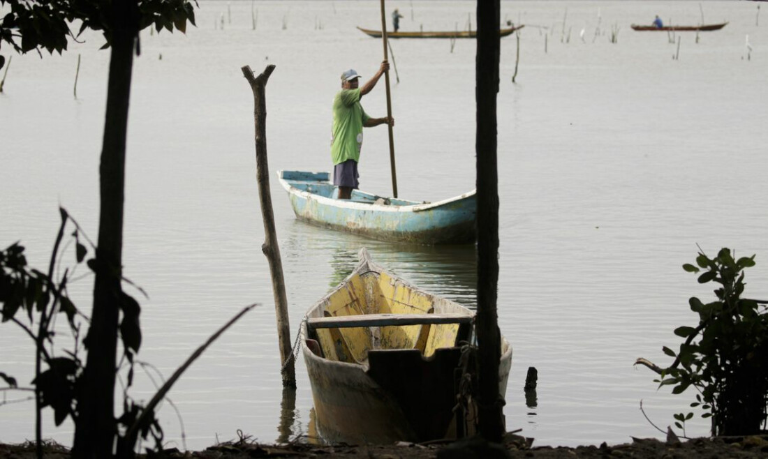 Negligência do Estado afeta 3,2 mil famílias de pescadores artesanais