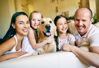 Código Civil deve conferir novo status para pets em condomínios residenciais