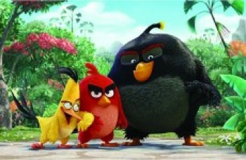"Angry Birds"