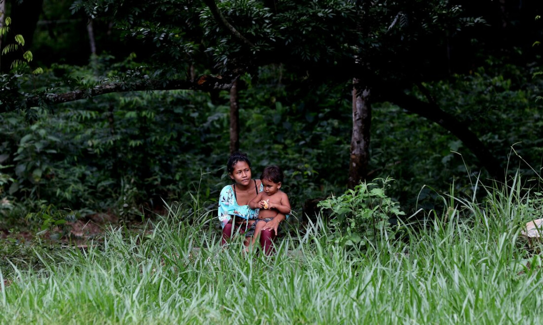 Preservação de biomas em terras indígenas é 31% maior, diz ISA 