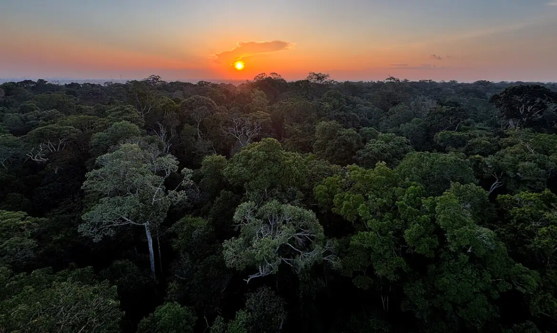 Instituto Clima e Sociedade lança edital para projetos que usam IA
