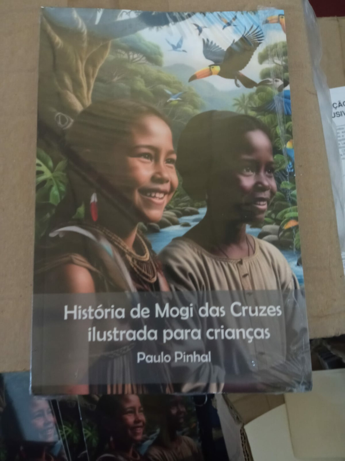 Paulo Pinhal lança livro sobre a história de Mogi das Cruzes para crianças 
