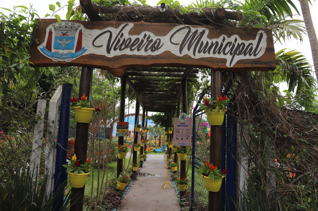 Viveiro Municipal completa sete anos e comemora a marca de 100 mil visitantes