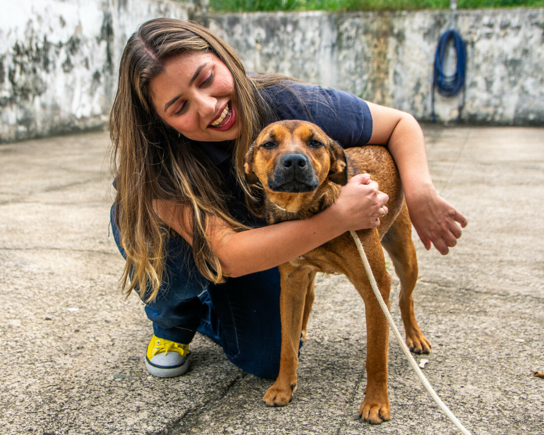 Prefeitura de Guararema oferece castração gratuita para cães e gatos