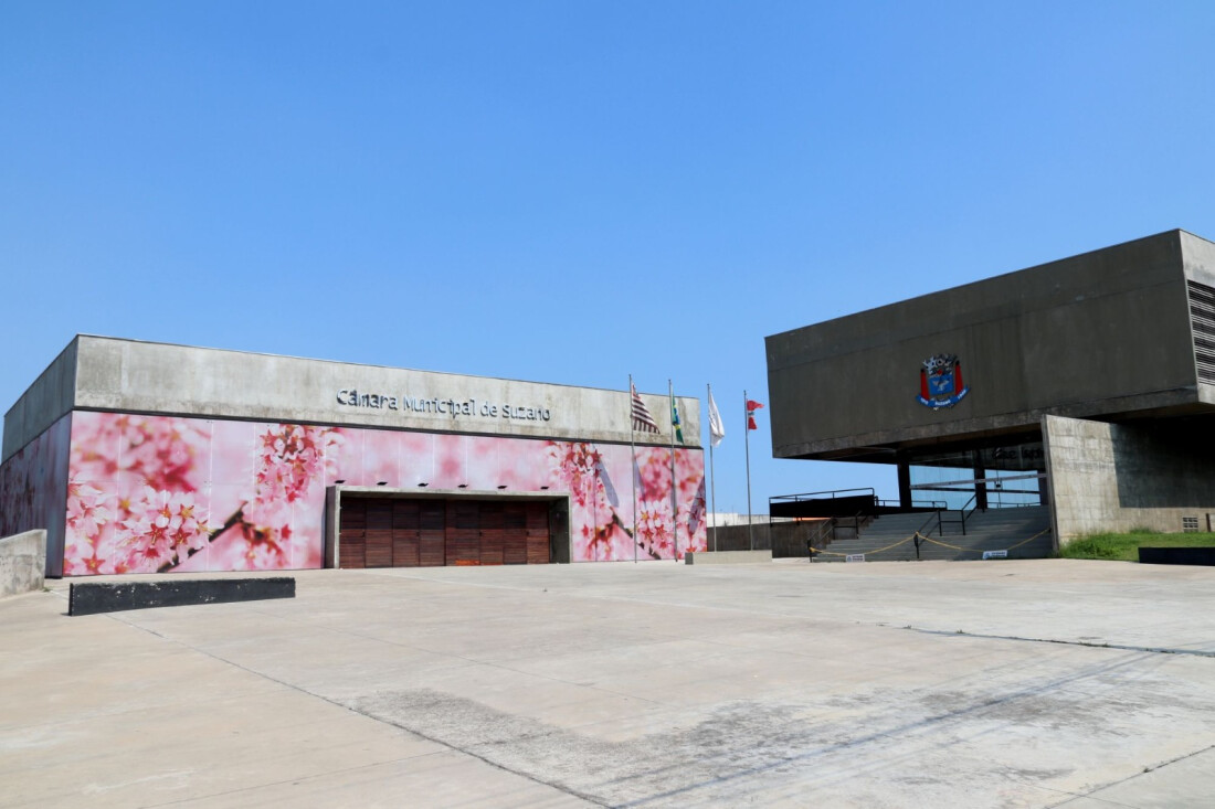 Câmara de Suzano fará audiência sobre energia elétrica e iluminação pública
