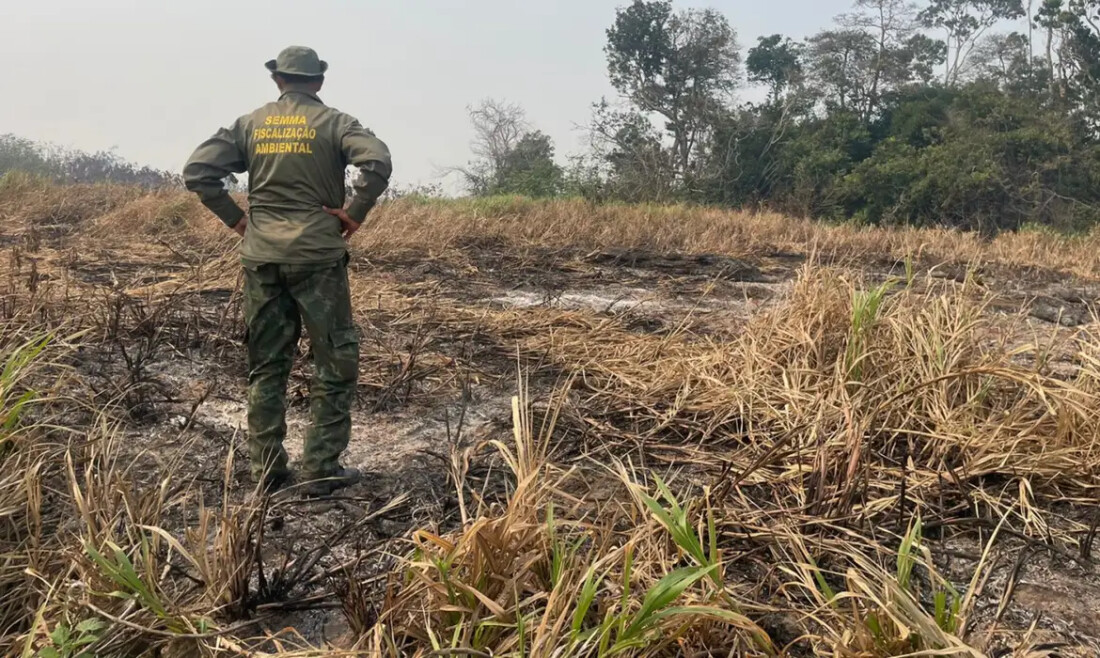 Brasil reduz 70% da área queimada no primeiro trimestre de 2025