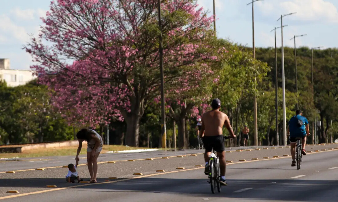 Dois terços dos brasileiros moram em ruas arborizadas