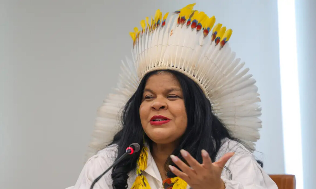 Ministra destaca trabalho inédito na proteção dos povos indígenas