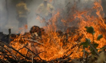 Número de envolvidos em conflitos por terra salta para 900 mil em 2024