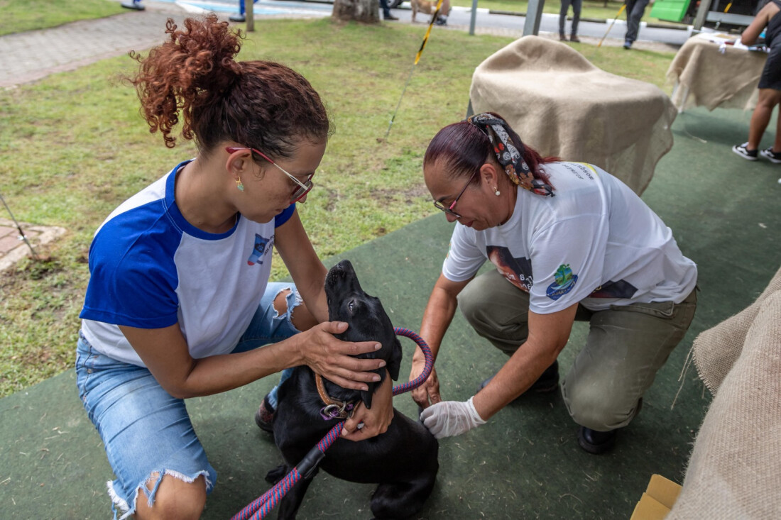 Sexta-feira (25) é dia de vacinar os pets contra a raiva em Guararema