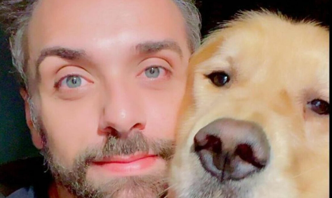 Após caso Joca, Senado aprova regras para transporte aéreo de animais