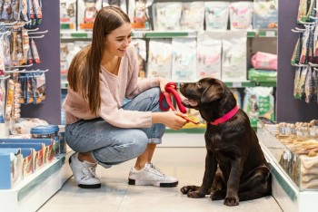 Sebrae-SP lança regionalmente programa de capacitação para empreendedores do setor pet