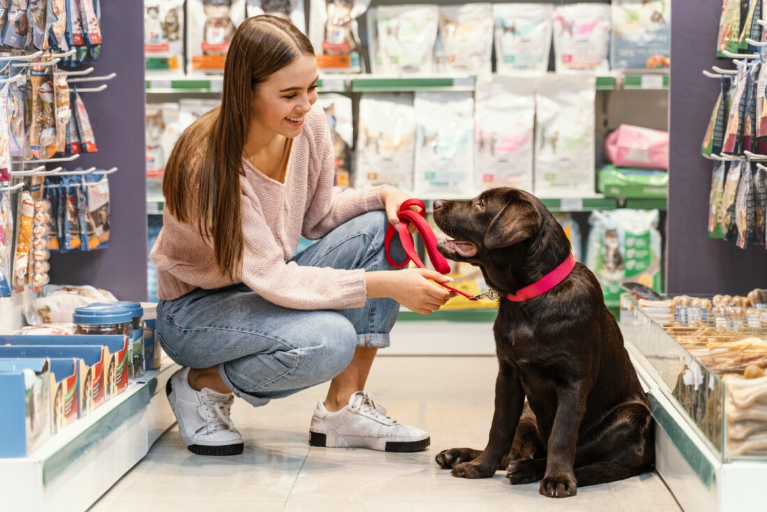 Sebrae-SP lança regionalmente programa de capacitação para empreendedores do setor pet