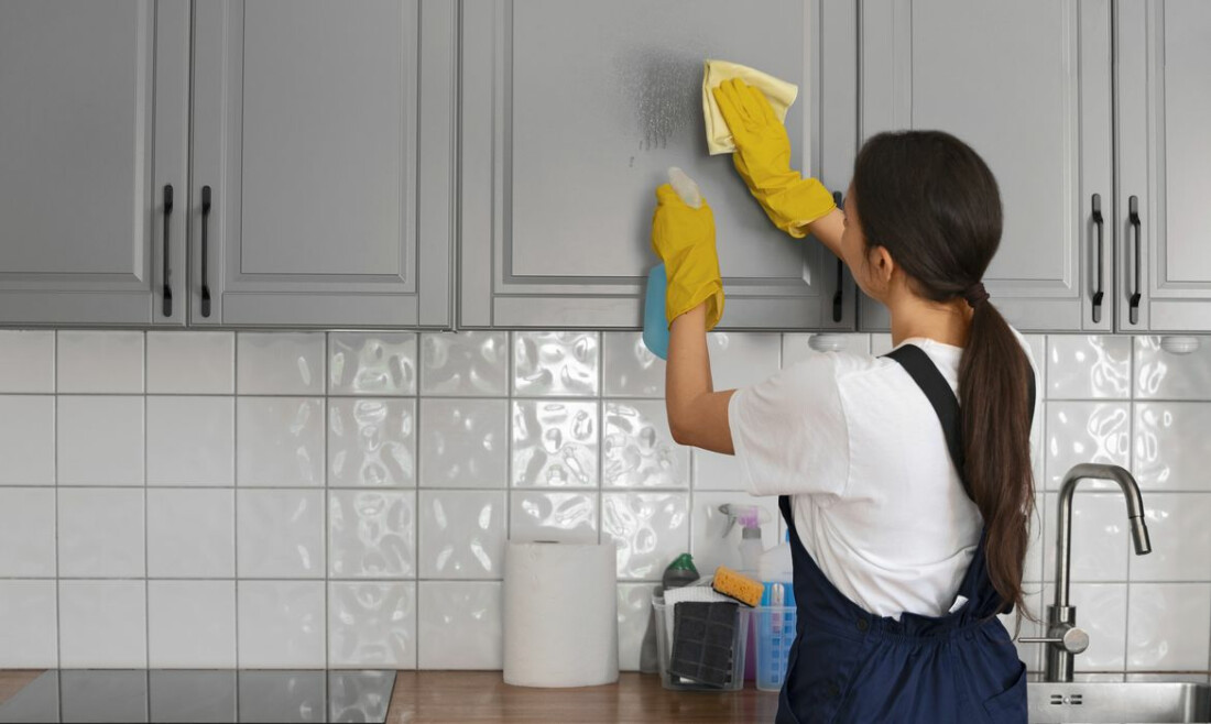 Hoje é Dia destaca os direitos das domésticas e acidentes de trabalho