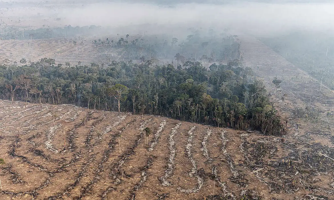STF permite desapropriação de terra por incêndio ilegal e desmatamento