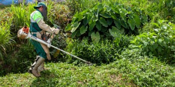 Mutirão Cidade Bonita chega a mais três setores