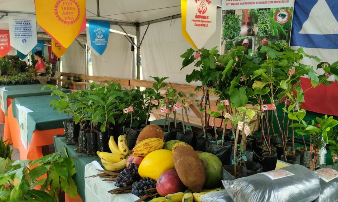 Feira da Reforma Agrária oferece alimentos produzidos por acampamentos