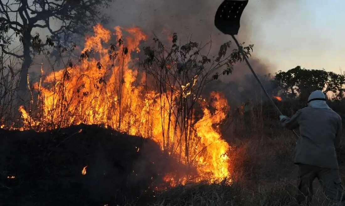 Ibama multa 242 pessoas por incêndios criminosos em 2024