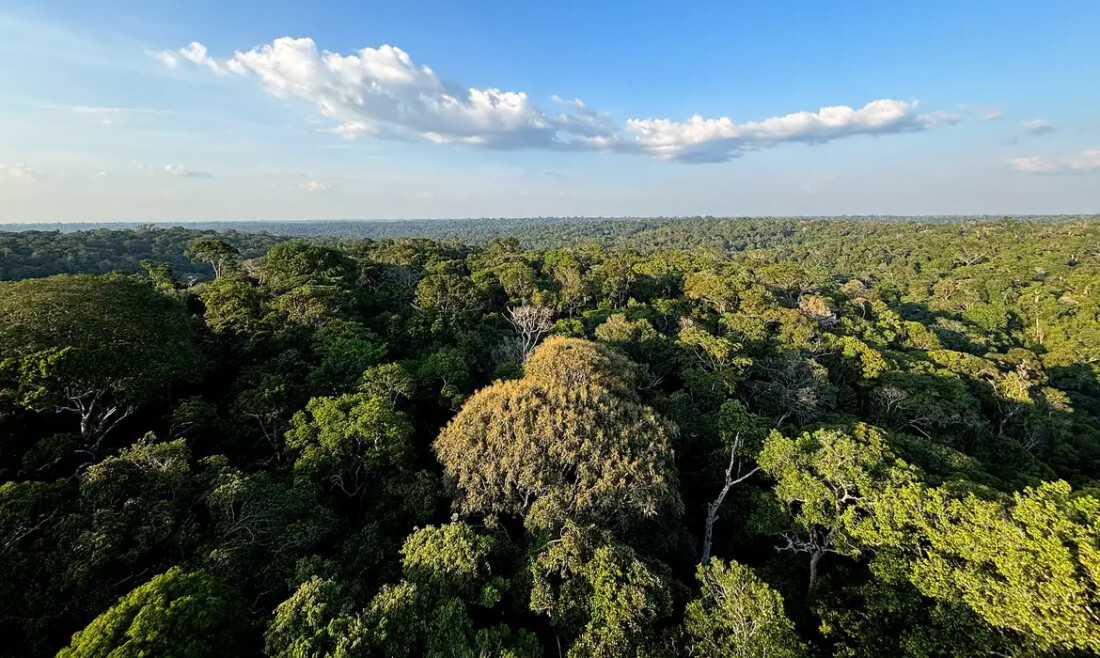 Conheça propostas da população para políticas ambientais