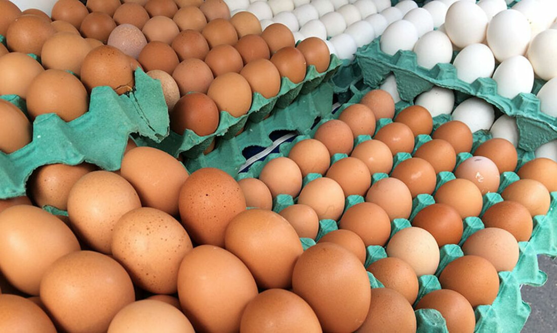 Ovos de granja com caso de gripe aviária estão rastreados, diz Mapa