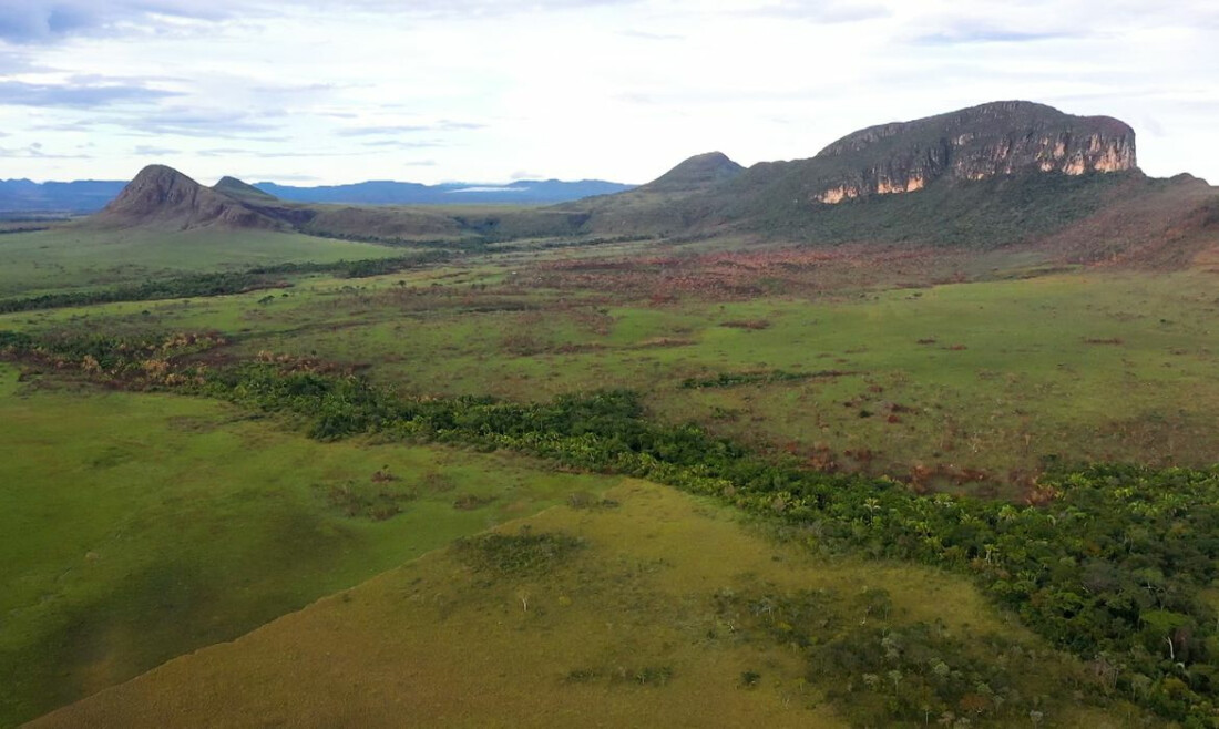 Cerrado: preservação e negócios são tema do Caminhos da Reportagem