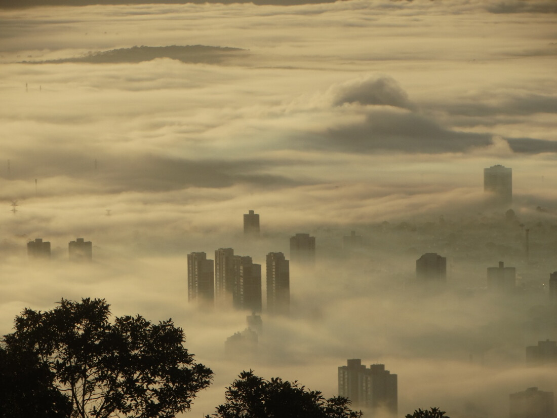 Cultura e Turismo em Mogi das Cruzes: Um Olhar para o Futuro