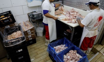 Prazo de 28 dias para Brasil ficar livre da gripe aviária começa hoje