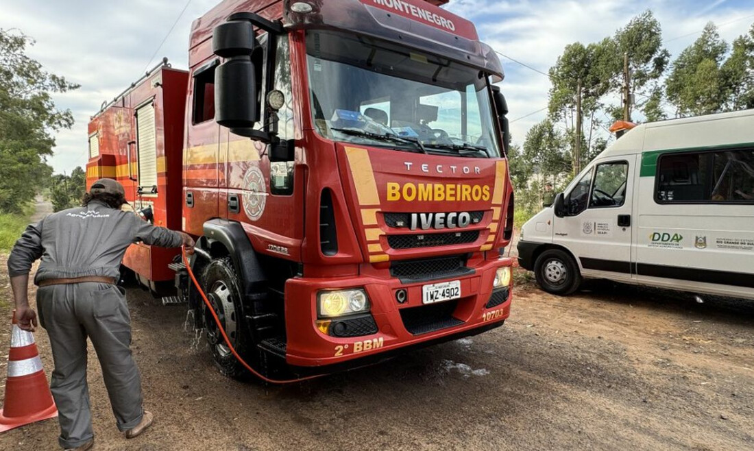 Barreiras sanitárias contra a gripe aviária são reduzidas no RS