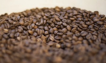 Governo reprova três marcas de café por serem impróprias para consumo