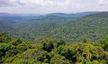 Instituto lança edital para projetos que protejam a Amazônia
