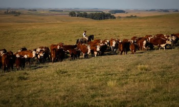 PIB cresce 1,4% no primeiro trimestre de 2025