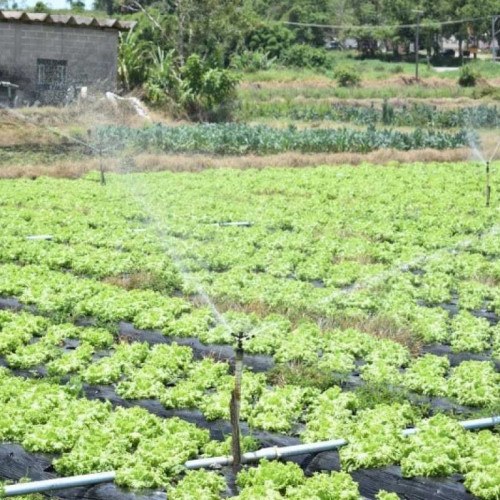 Região tem saldo positivo de mais de 2,6 mil novas vagas