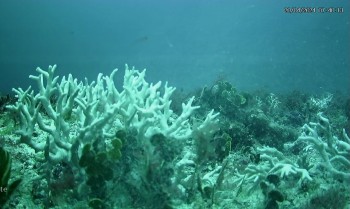 BNDES destina R$ 43 milhões para a preservação de ilhas oceânicas