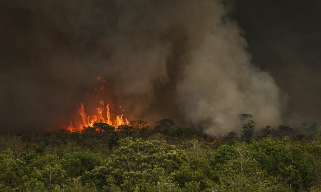 Câmara aprova aumento de punição a quem provocar incêndios florestais
