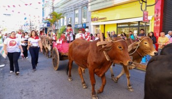 Entrada dos Palmitos da Festa do Divino de Mogi deve reunir mais de 50 mil pessoas