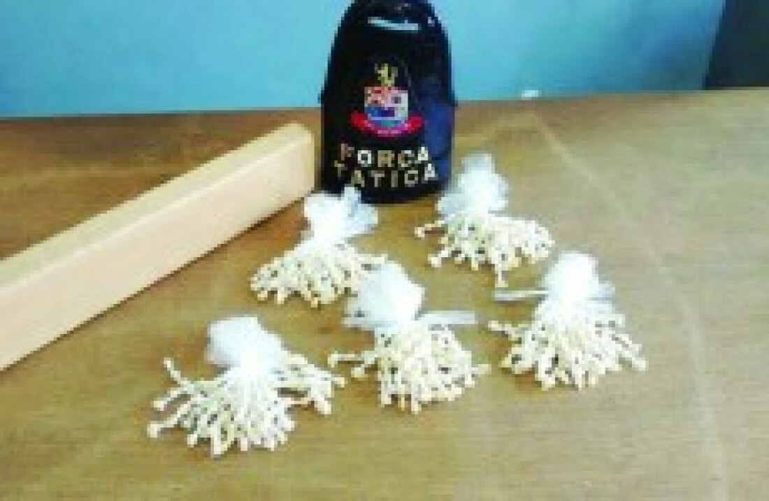 PM acha tijolo de maconha e 'kits' de crack em Suzano