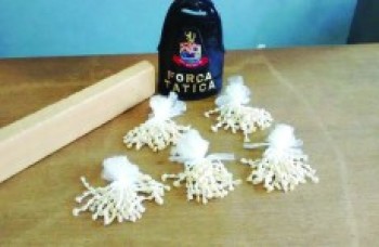 PM acha tijolo de maconha e 'kits' de crack em Suzano: